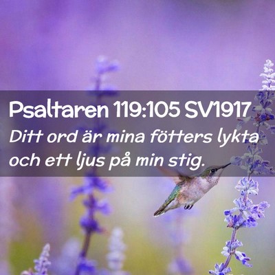 Picture 02 - Psaltaren 119:105 SV1917 - Ditt ord är mina fötters lykta och ett ljus på - Bible Verse Picture