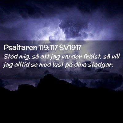 Picture 02 - Psaltaren 119:117 SV1917 - Stöd mig, så att jag varder frälst, så vill - Bible Verse Picture
