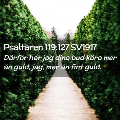 Picture 02 - Psaltaren 119:127 SV1917 - Därför har jag dina bud kära mer än guld, - Bible Verse Picture