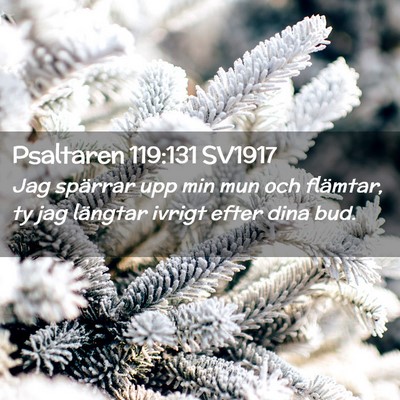 Picture 02 - Psaltaren 119:131 SV1917 - Jag spärrar upp min mun och flämtar, ty jag - Bible Verse Picture