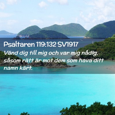 Picture 02 - Psaltaren 119:132 SV1917 - Vänd dig till mig och var mig nådig, såsom - Bible Verse Picture