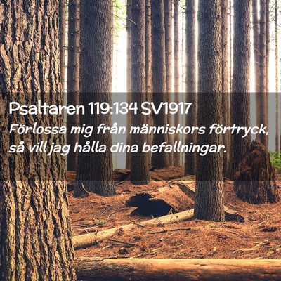Picture 02 - Psaltaren 119:134 SV1917 - Förlossa mig från människors förtryck, så - Bible Verse Picture