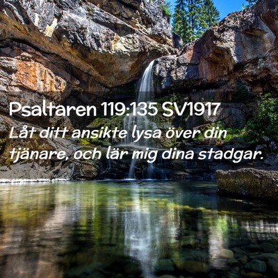 Picture 02 - Psaltaren 119:135 SV1917 - Låt ditt ansikte lysa över din tjänare, och - Bible Verse Picture