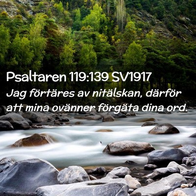 Picture 02 - Psaltaren 119:139 SV1917 - Jag förtäres av nitälskan, därför att mina - Bible Verse Picture