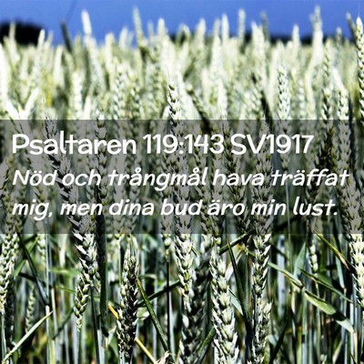 Picture 02 - Psaltaren 119:143 SV1917 - Nöd och trångmål hava träffat mig, men dina - Bible Verse Picture