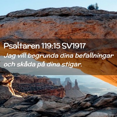 Picture 02 - Psaltaren 119:15 SV1917 - Jag vill begrunda dina befallningar och skåda - Bible Verse Picture