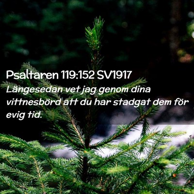 Picture 02 - Psaltaren 119:152 SV1917 - Längesedan vet jag genom dina vittnesbörd att - Bible Verse Picture