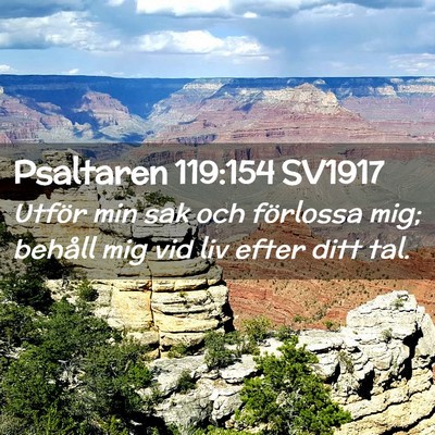 Picture 02 - Psaltaren 119:154 SV1917 - Utför min sak och förlossa mig; behåll mig vid - Bible Verse Picture