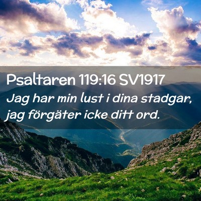 Picture 02 - Psaltaren 119:16 SV1917 - Jag har min lust i dina stadgar, jag förgäter - Bible Verse Picture