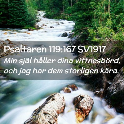 Picture 02 - Psaltaren 119:167 SV1917 - Min själ håller dina vittnesbörd, och jag har - Bible Verse Picture
