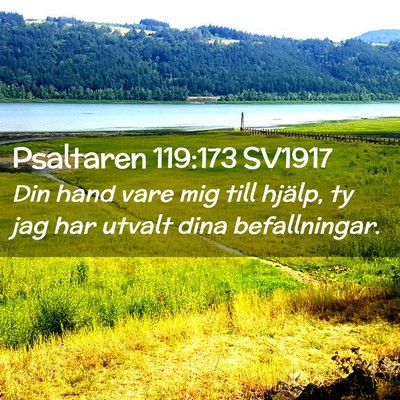 Picture 02 - Psaltaren 119:173 SV1917 - Din hand vare mig till hjälp, ty jag har utvalt - Bible Verse Picture