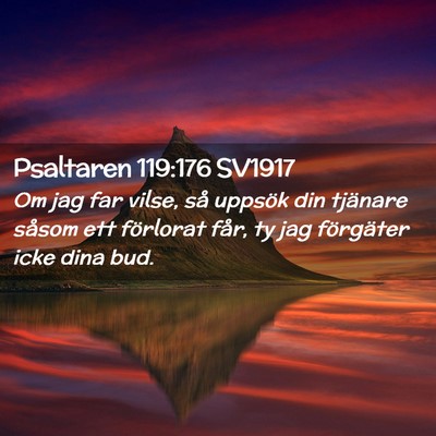 Picture 02 - Psaltaren 119:176 SV1917 - Om jag far vilse, så uppsök din tjänare såsom - Bible Verse Picture