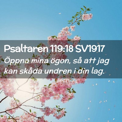 Picture 02 - Psaltaren 119:18 SV1917 - Öppna mina ögon, så att jag kan skåda undren - Bible Verse Picture