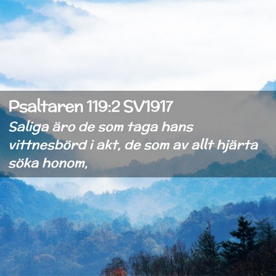 Picture 02 - Psaltaren 119:2 SV1917 - Saliga äro de som taga hans vittnesbörd i akt, - Bible Verse Picture