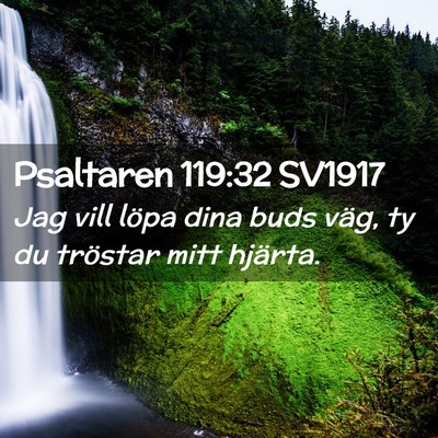 Picture 02 - Psaltaren 119:32 SV1917 - Jag vill löpa dina buds väg, ty du tröstar - Bible Verse Picture