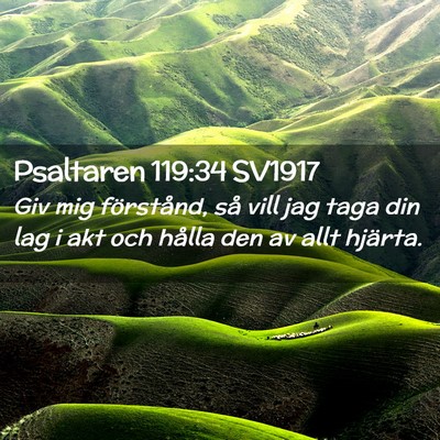 Picture 02 - Psaltaren 119:34 SV1917 - Giv mig förstånd, så vill jag taga din lag i - Bible Verse Picture