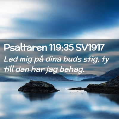 Picture 02 - Psaltaren 119:35 SV1917 - Led mig på dina buds stig, ty till den har jag - Bible Verse Picture