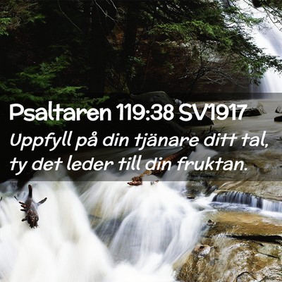 Picture 02 - Psaltaren 119:38 SV1917 - Uppfyll på din tjänare ditt tal, ty det leder - Bible Verse Picture