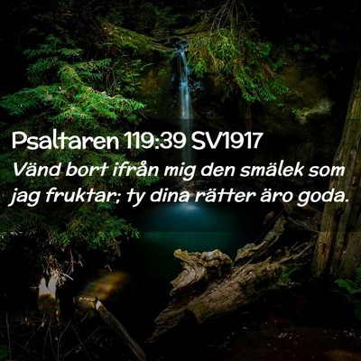 Picture 02 - Psaltaren 119:39 SV1917 - Vänd bort ifrån mig den smälek som jag - Bible Verse Picture