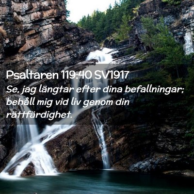 Picture 02 - Psaltaren 119:40 SV1917 - Se, jag längtar efter dina befallningar; behåll - Bible Verse Picture