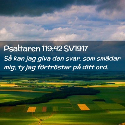 Picture 02 - Psaltaren 119:42 SV1917 - Så kan jag giva den svar, som smädar mig; ty - Bible Verse Picture