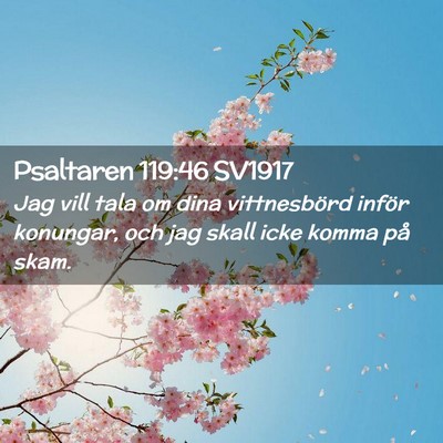 Picture 02 - Psaltaren 119:46 SV1917 - Jag vill tala om dina vittnesbörd inför - Bible Verse Picture