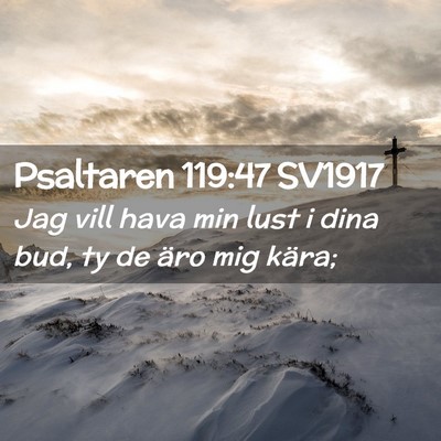 Picture 02 - Psaltaren 119:47 SV1917 - Jag vill hava min lust i dina bud, ty de äro mig - Bible Verse Picture