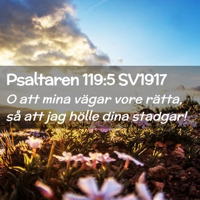Picture 02 - Psaltaren 119:5 SV1917 - O att mina vägar vore rätta, så att jag hölle - Bible Verse Picture