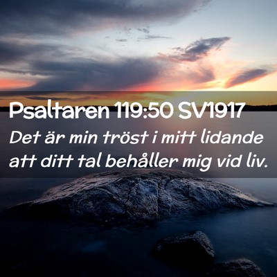 Picture 02 - Psaltaren 119:50 SV1917 - Det är min tröst i mitt lidande att ditt tal - Bible Verse Picture