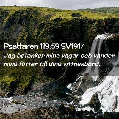 Picture 02 - Psaltaren 119:59 SV1917 - Jag betänker mina vägar och vänder mina - Bible Verse Picture