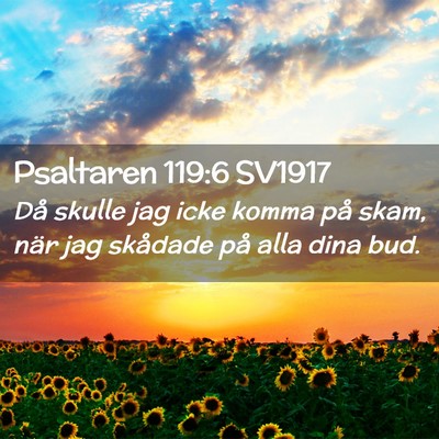 Picture 02 - Psaltaren 119:6 SV1917 - Då skulle jag icke komma på skam, när jag - Bible Verse Picture