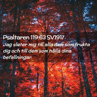 Picture 02 - Psaltaren 119:63 SV1917 - Jag sluter mig till alla dem som frukta dig och - Bible Verse Picture