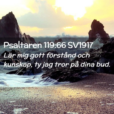 Picture 02 - Psaltaren 119:66 SV1917 - Lär mig gott förstånd och kunskap, ty jag tror - Bible Verse Picture
