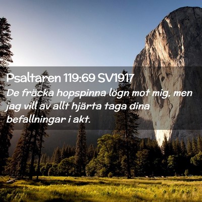 Picture 02 - Psaltaren 119:69 SV1917 - De fräcka hopspinna lögn mot mig, men jag vill - Bible Verse Picture