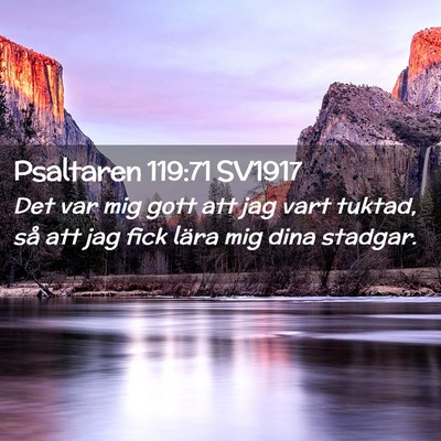 Picture 02 - Psaltaren 119:71 SV1917 - Det var mig gott att jag vart tuktad, så att jag - Bible Verse Picture
