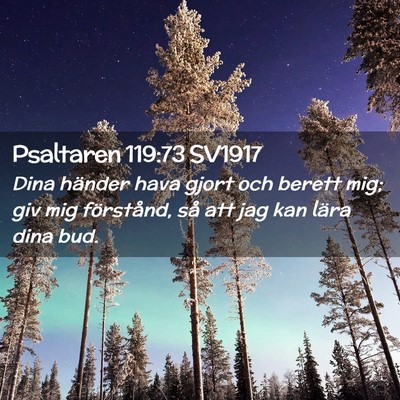 Picture 02 - Psaltaren 119:73 SV1917 - Dina händer hava gjort och berett mig; giv mig - Bible Verse Picture