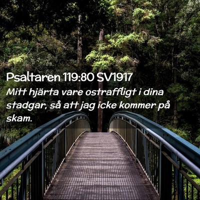 Picture 02 - Psaltaren 119:80 SV1917 - Mitt hjärta vare ostraffligt i dina stadgar, så - Bible Verse Picture