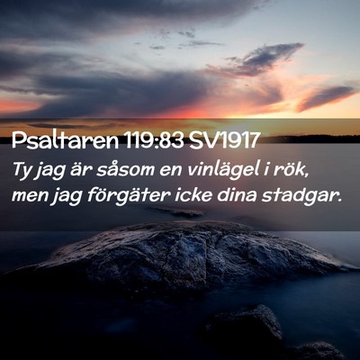 Picture 02 - Psaltaren 119:83 SV1917 - Ty jag är såsom en vinlägel i rök, men jag - Bible Verse Picture