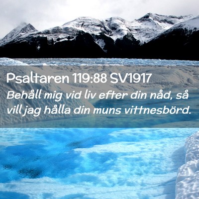 Picture 02 - Psaltaren 119:88 SV1917 - Behåll mig vid liv efter din nåd, så vill jag - Bible Verse Picture