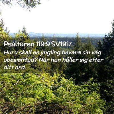Picture 02 - Psaltaren 119:9 SV1917 - Huru skall en yngling bevara sin väg obesmittad? - Bible Verse Picture