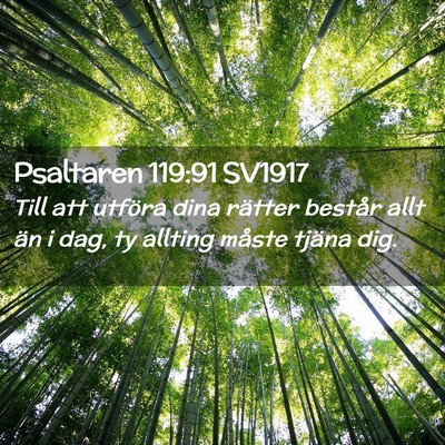 Picture 02 - Psaltaren 119:91 SV1917 - Till att utföra dina rätter består allt än i - Bible Verse Picture