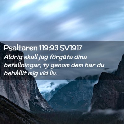 Picture 02 - Psaltaren 119:93 SV1917 - Aldrig skall jag förgäta dina befallningar, ty - Bible Verse Picture