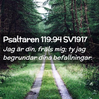 Picture 02 - Psaltaren 119:94 SV1917 - Jag är din, fräls mig; ty jag begrundar dina - Bible Verse Picture