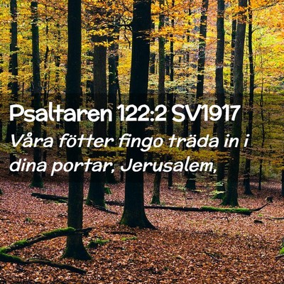 Picture 02 - Psaltaren 122:2 SV1917 - Våra fötter fingo träda in i dina portar, - Bible Verse Picture