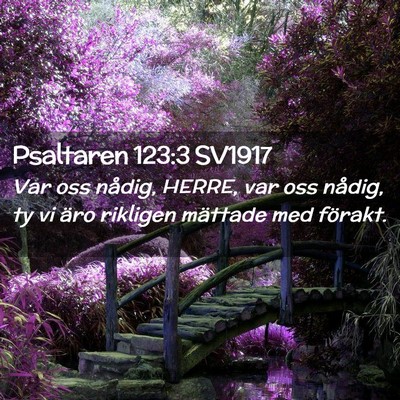 Picture 02 - Psaltaren 123:3 SV1917 - Var oss nådig, HERRE, var oss nådig, ty vi äro - Bible Verse Picture