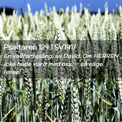 Picture 02 - Psaltaren 124:1 SV1917 - En vallfartssång; av David. Om HERREN icke hade - Bible Verse Picture