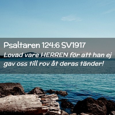 Picture 02 - Psaltaren 124:6 SV1917 - Lovad vare HERREN för att han ej gav oss till - Bible Verse Picture