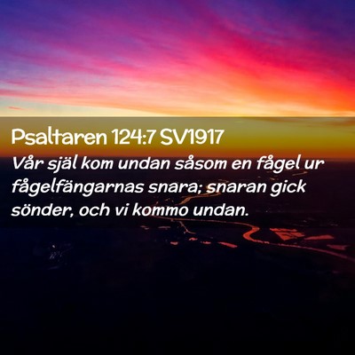 Picture 02 - Psaltaren 124:7 SV1917 - Vår själ kom undan såsom en fågel ur - Bible Verse Picture