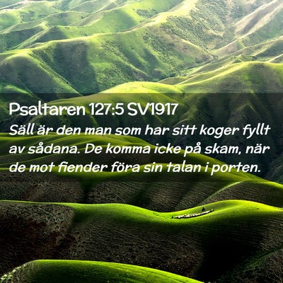 Picture 02 - Psaltaren 127:5 SV1917 - Säll är den man som har sitt koger fyllt av - Bible Verse Picture