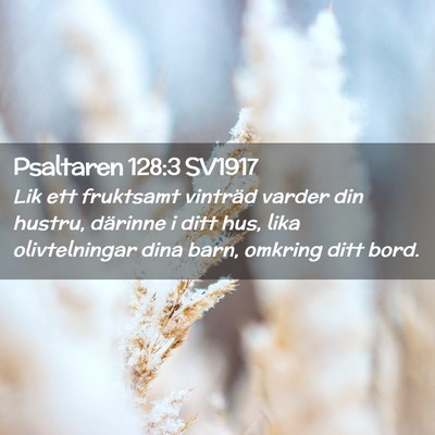 Picture 02 - Psaltaren 128:3 SV1917 - Lik ett fruktsamt vinträd varder din hustru, - Bible Verse Picture